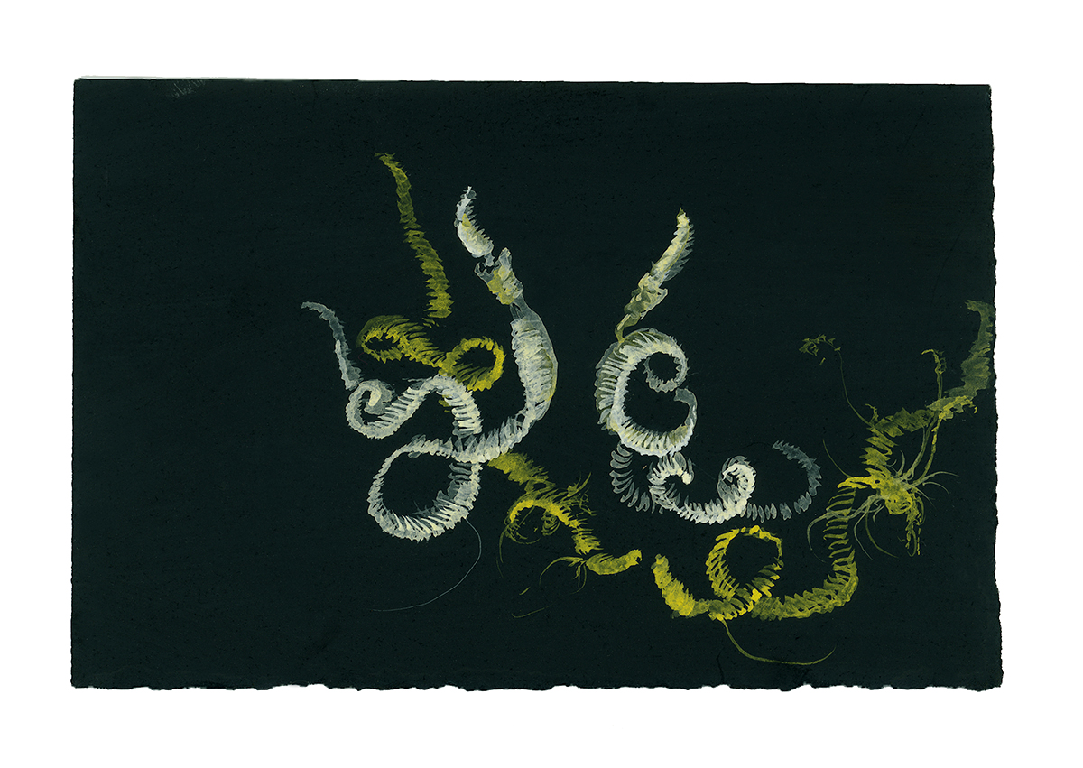 Rorschach Tapeworm (yellow), 2007-08, pastel, gouache and ink on paper, 4 x 6 inches