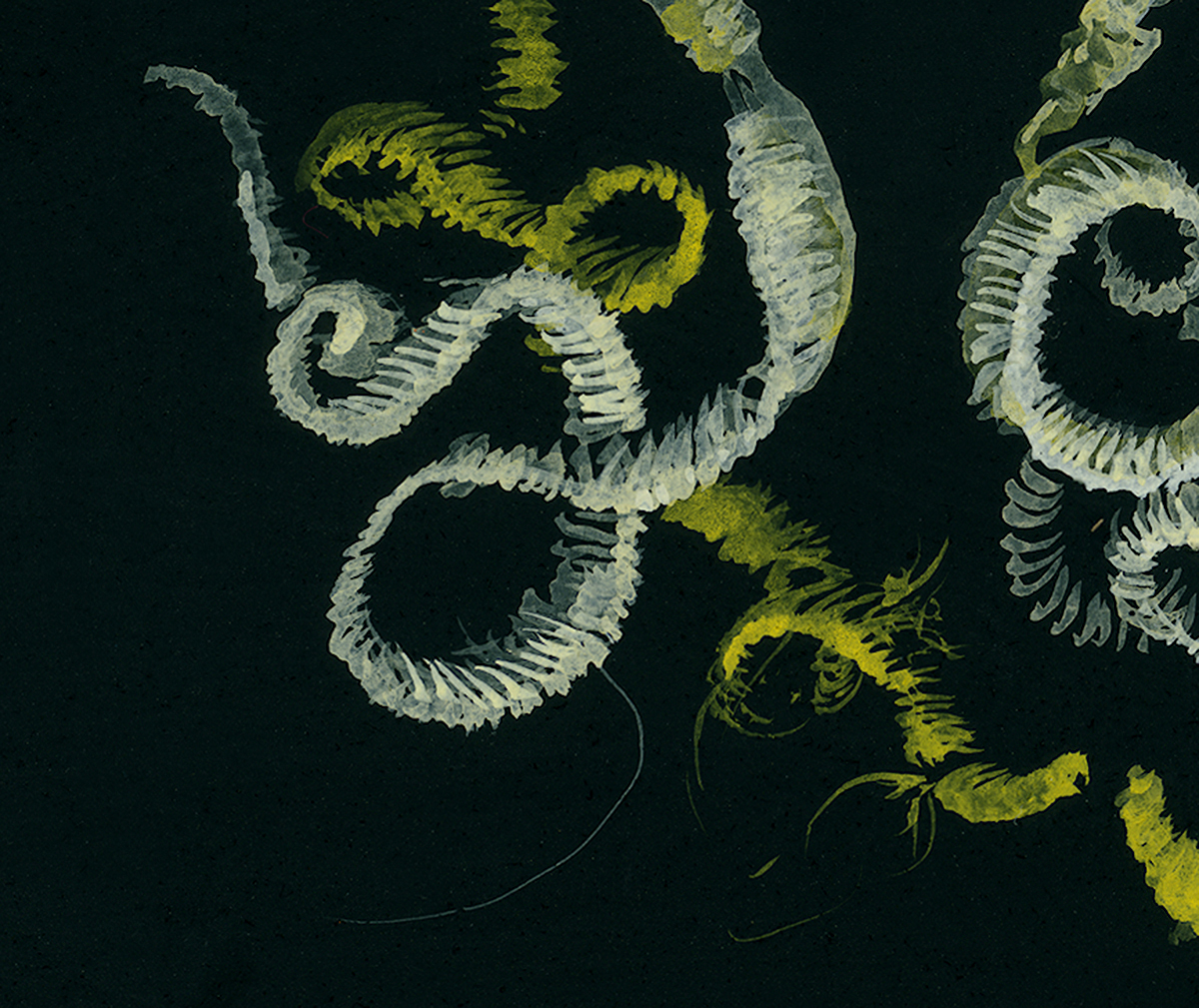 Rorschach Tapeworms Yellow_Detail