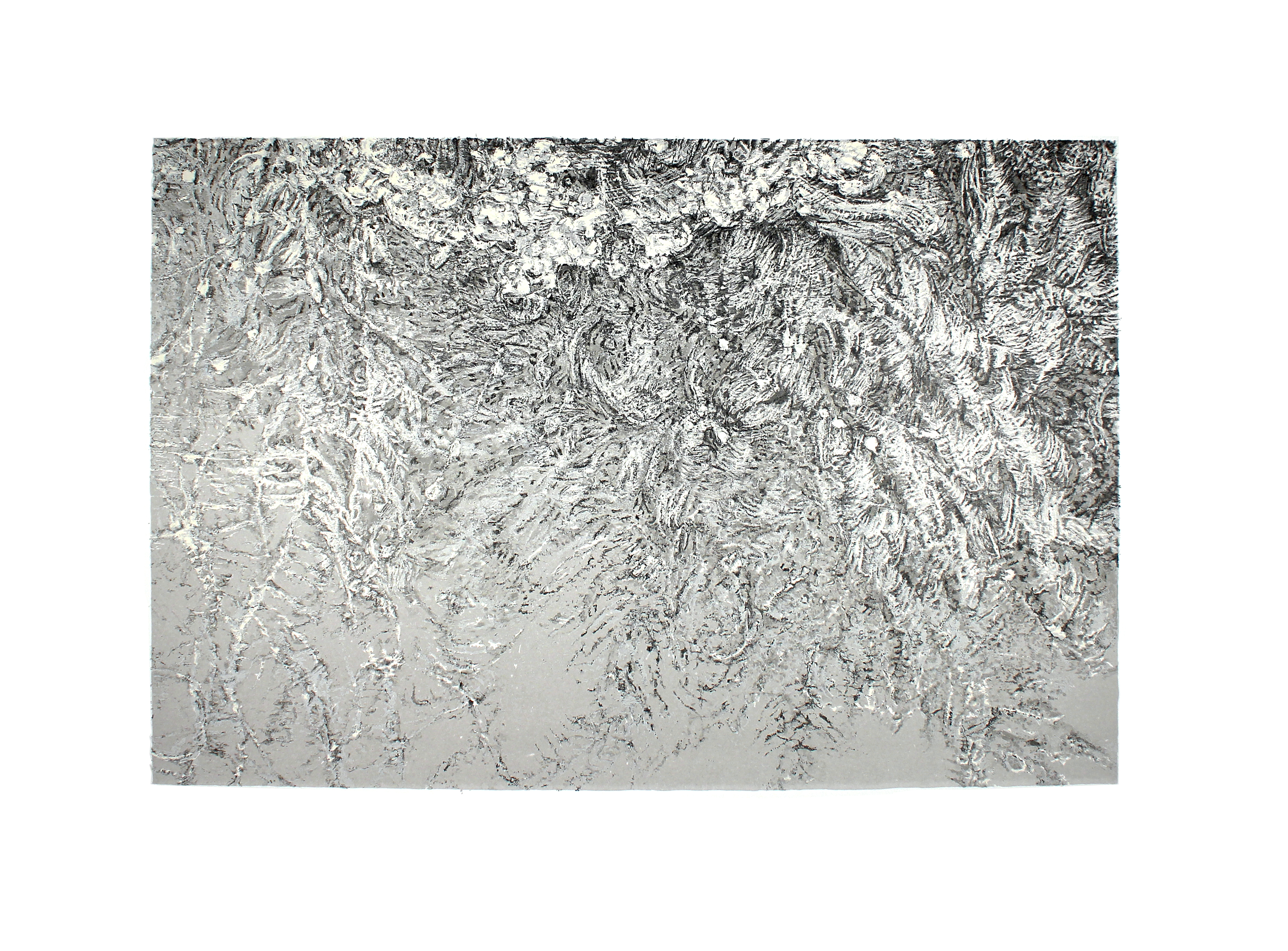 seven layer graphite lithograph, 12 x 18 inches, 2015